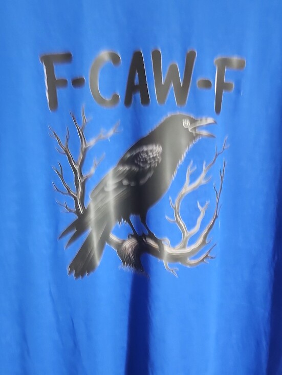 Tops - Blue Short-Sleeve Graphic Tee with Crow Print - Women